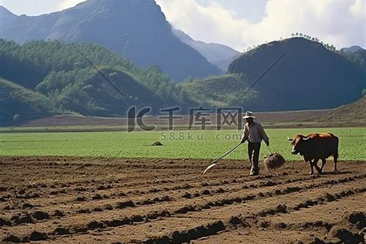 梦见自己牵了一头水牛什么意思