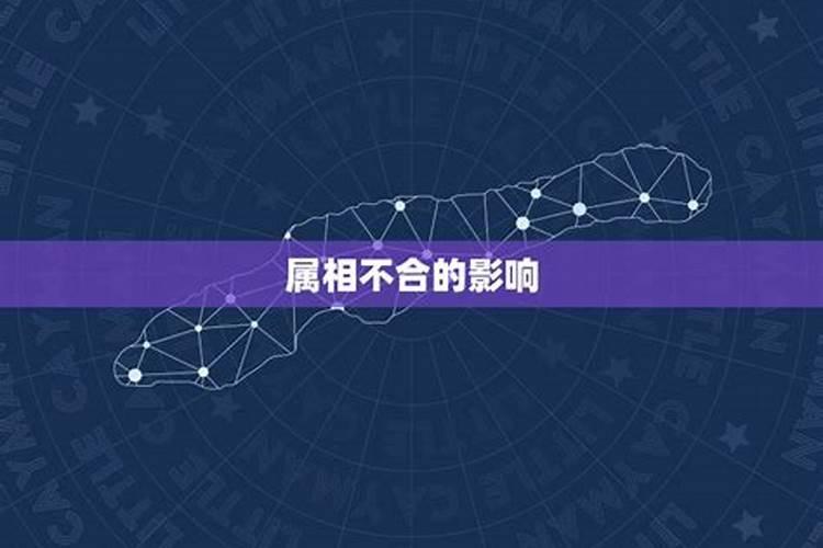 如果属相不合怎么化解好