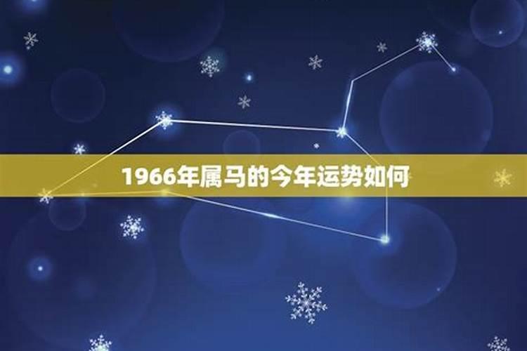 1966年出生的今年的运势如何