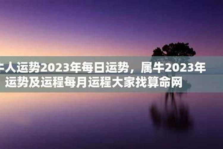 牛年2023年运势及运程