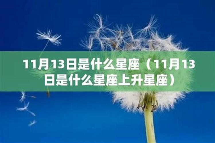 梦见马厩里有很多马粪和马