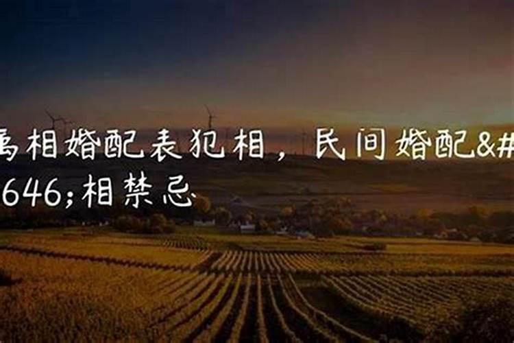 生肖的小人是什么意思