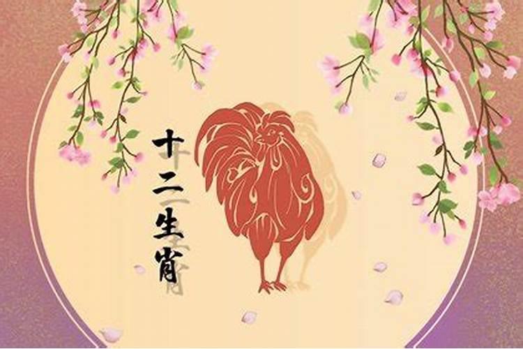 鸡生肖今年运气