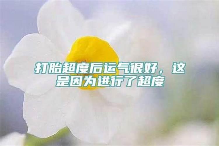 最近运气不好,怎样才能转运大师发财