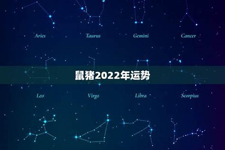 2021年鼠猪人的全年运势