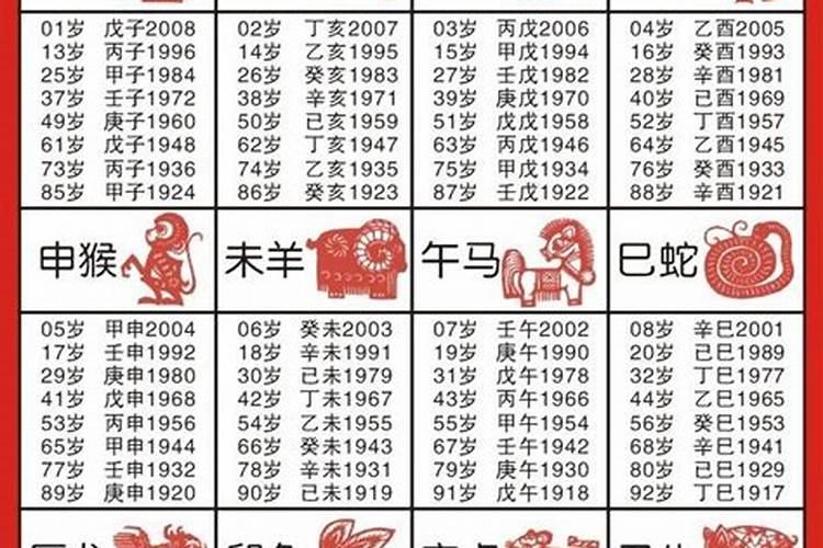 2024年什么生肖运势好点