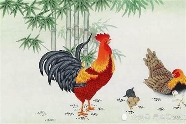 今年69年出生的属鸡人的运势