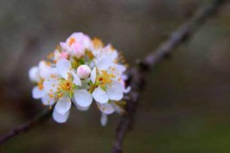 财神节哪天安装大门最好