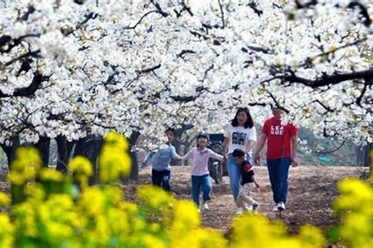 清明节又叫踏青节吗