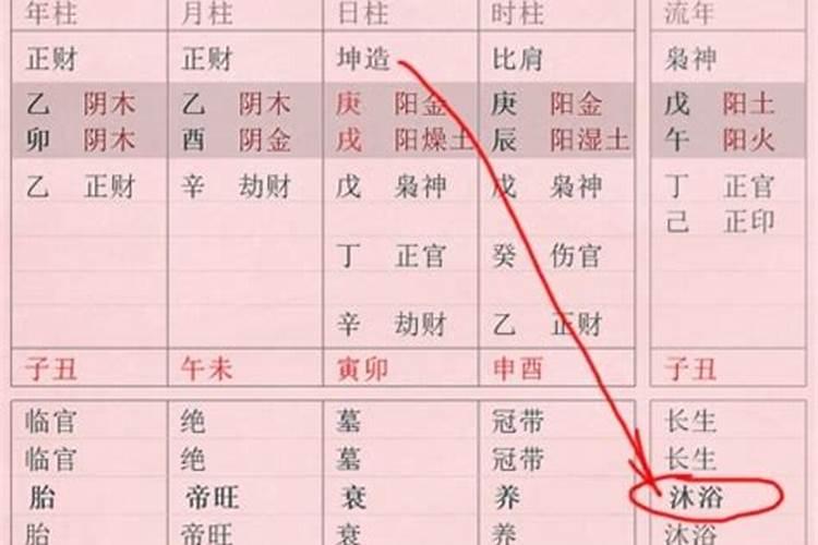 八字大运流年沐浴什么意思