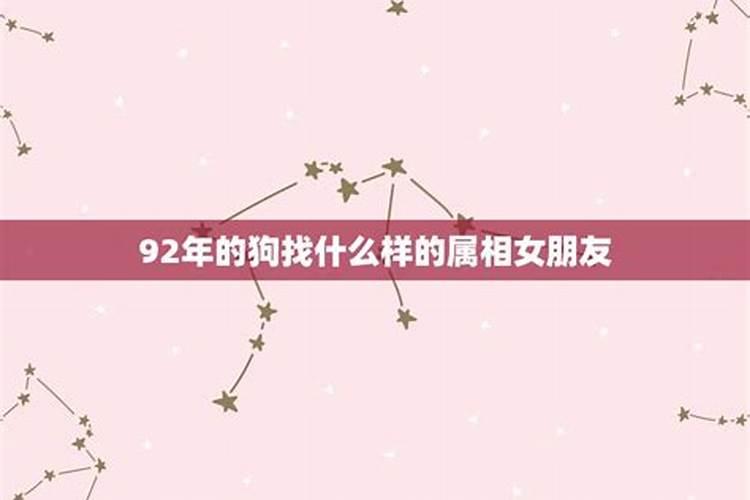 属狗的适合找属什么的