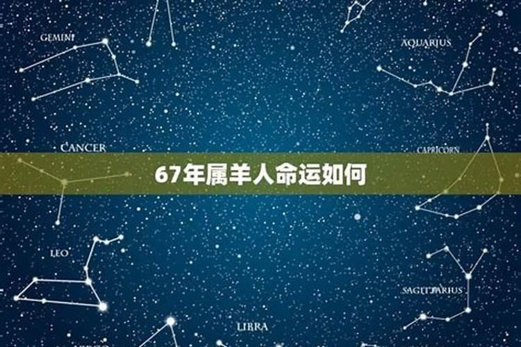 属羊的51岁是67年出生的运程