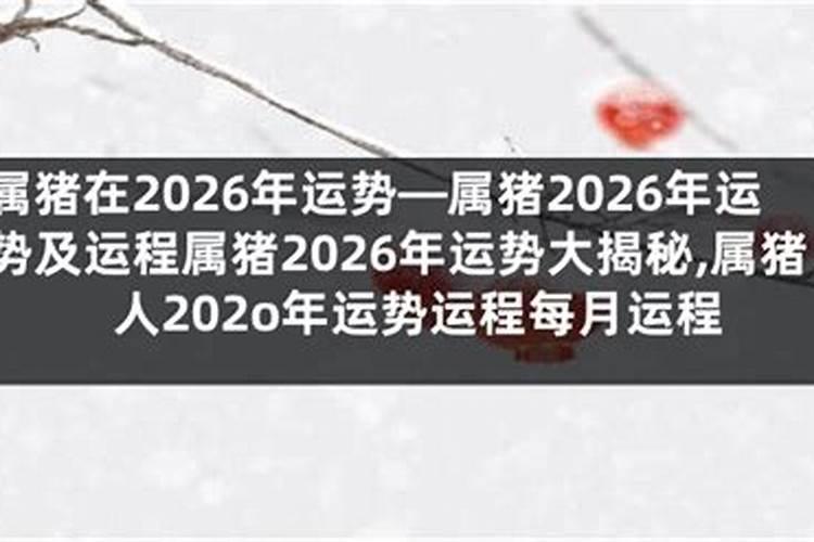 属猪2026年运势怎么样