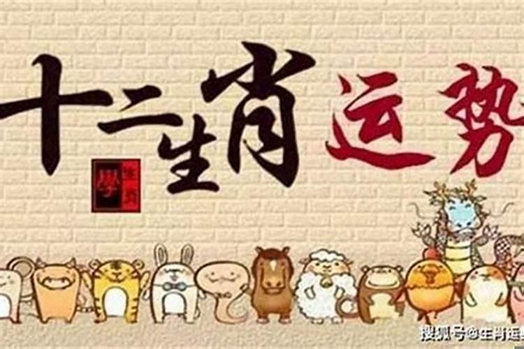 8月份属兔的运势如何