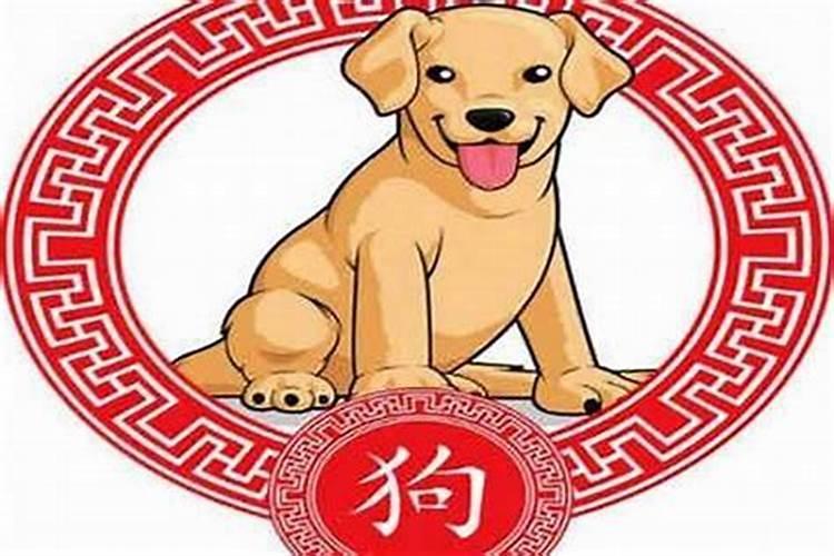 属狗是哪一年出生的年份