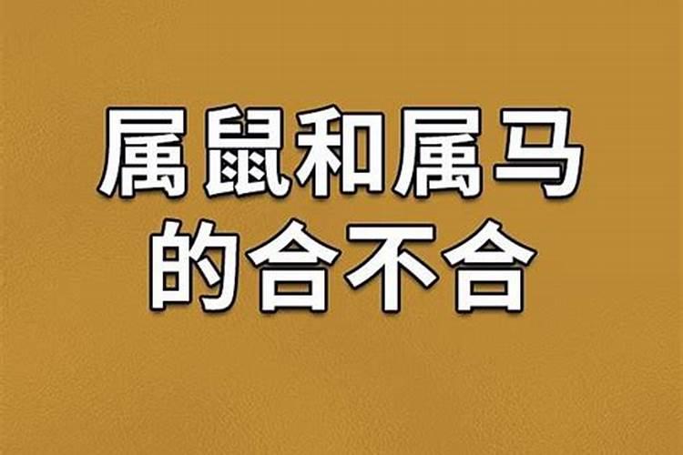 梦到蛇进家后孩子出生