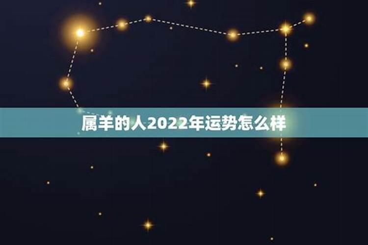 属羊女2022年感情运势