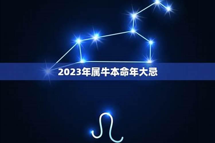 2021年属牛本命年大忌