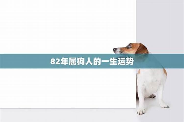 犯太岁2023年生肖是什么