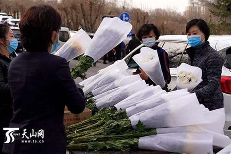 乌市清明祭扫