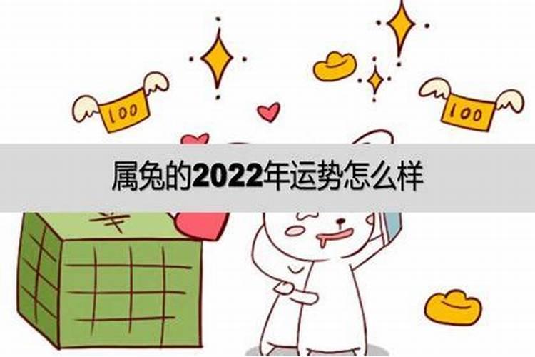 属兔的2022年财运怎么样啊