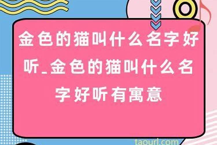 防小人的佛牌叫什么名字