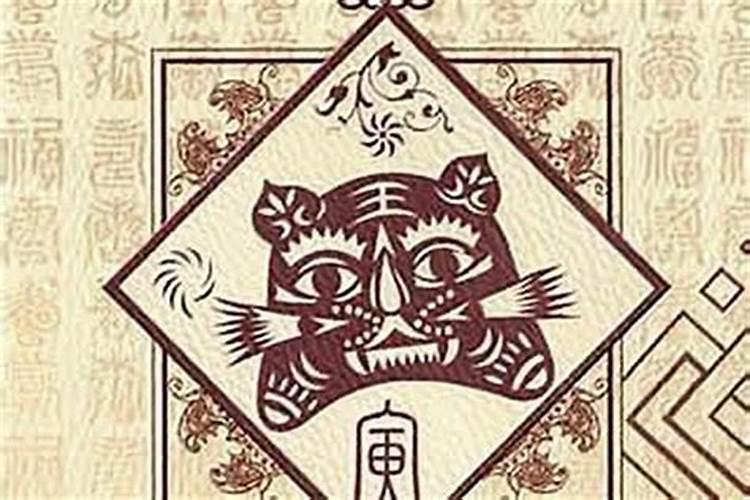 梦到被猫咬伤是什么意思女性