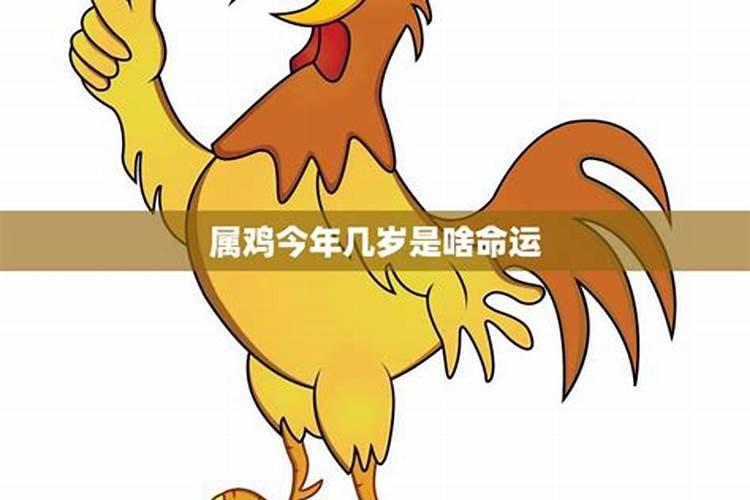 属鸡今年中考