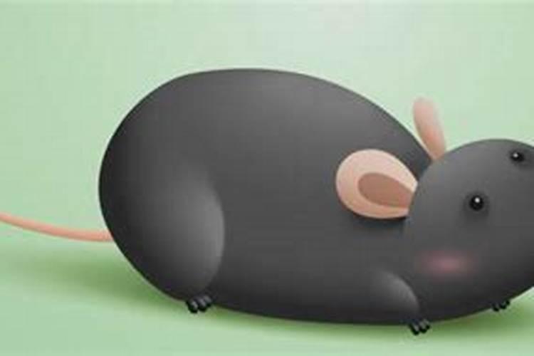 梦到一只大老鼠在床上什么意思