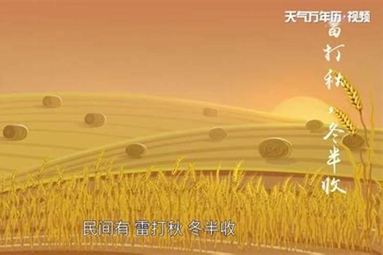 2023年犯太岁哪个最严重