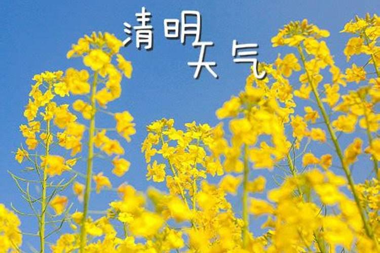 清明节前后天气还冷吗