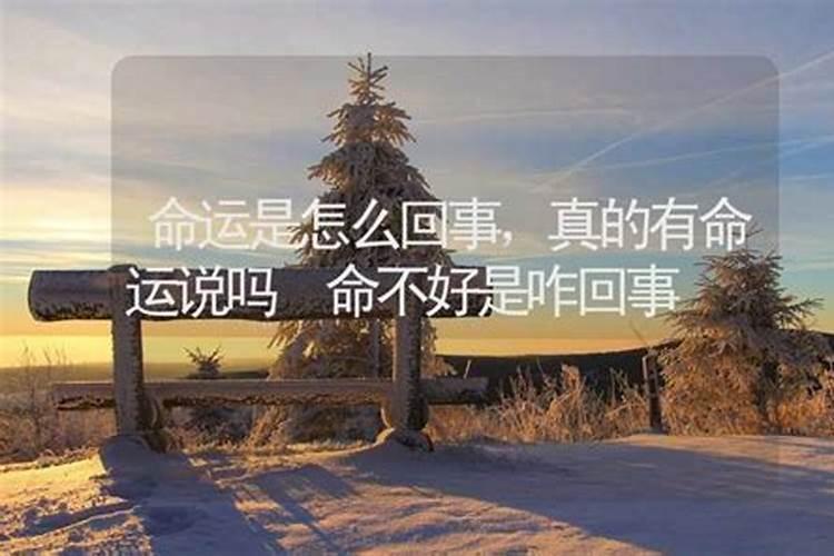 佛教怎么化解犯太岁