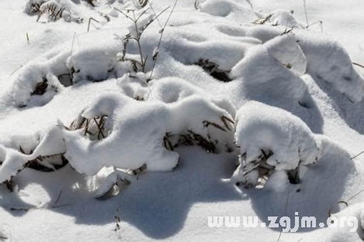 女人梦到下雪是什么预兆