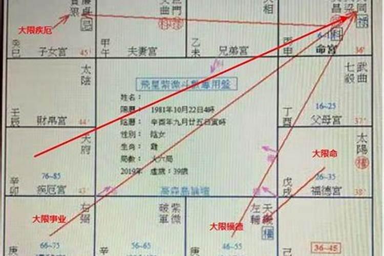 测姻缘八字和紫微斗数哪个准