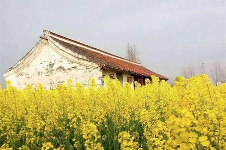 梦见老家房子漏雨满屋都漏了