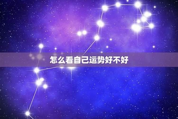 感情运势参考什么星座