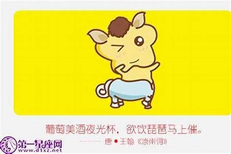 属马和属狗生什么属相宝宝好