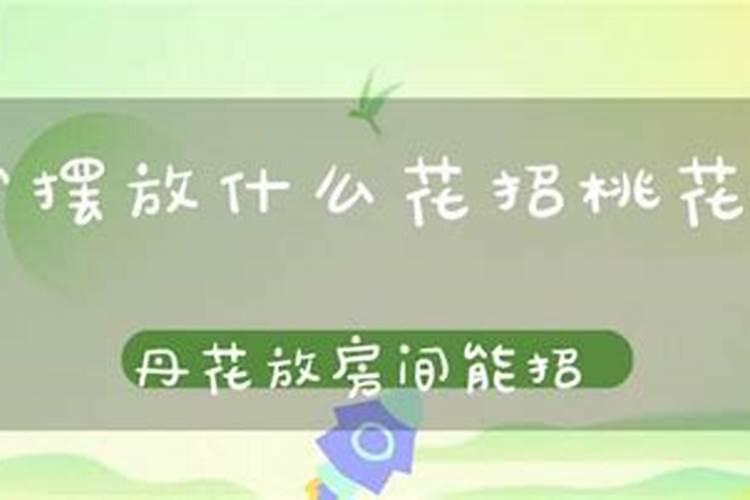 房间放什么花招桃花