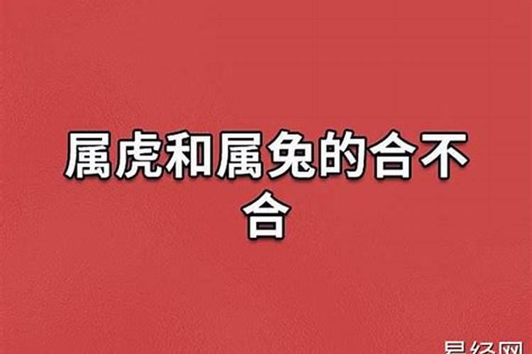 属兔男和属牛女合不合