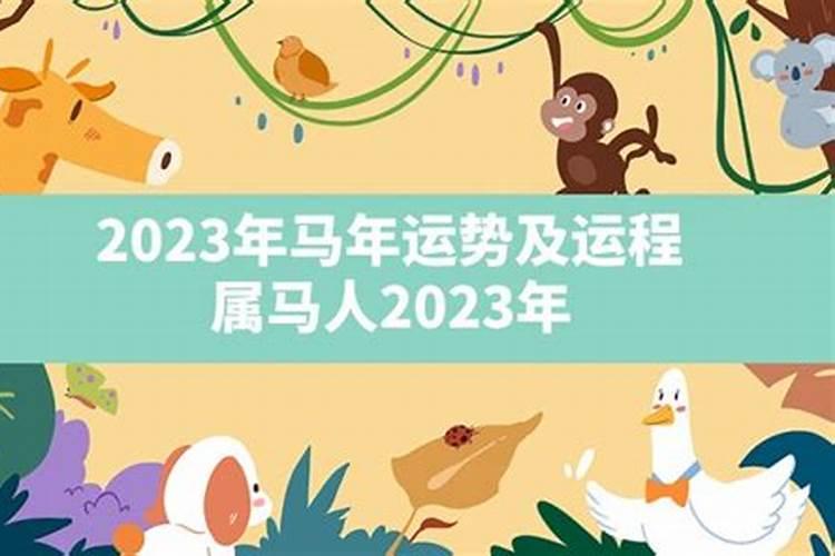 2023年马人的全年运势如何