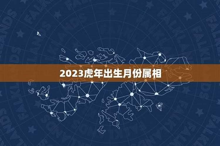 2023年虎年出生月份命运