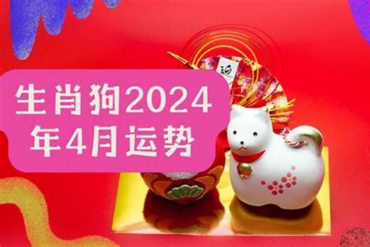 生肖狗2024年运势及运程