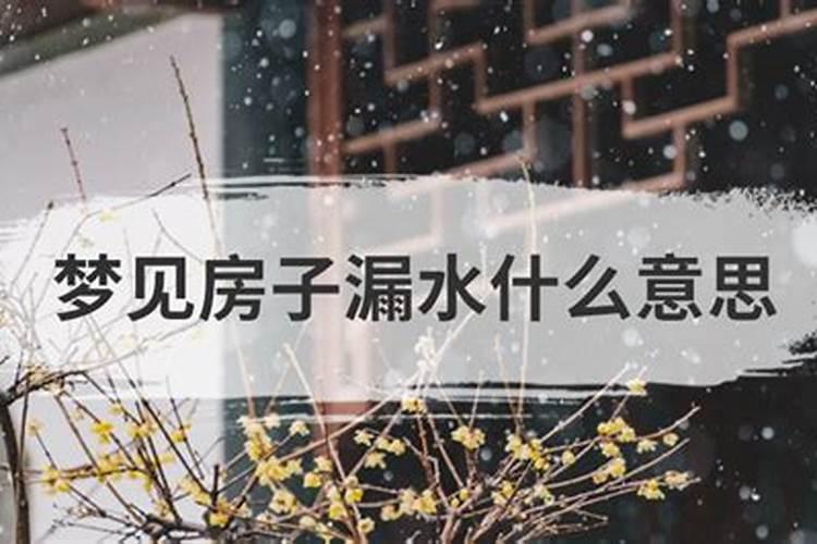 梦到老家旧房子漏水