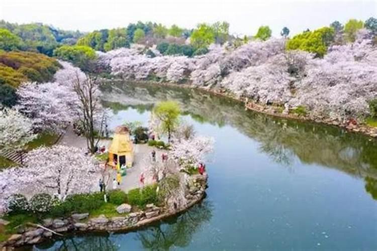 长沙清明节去哪