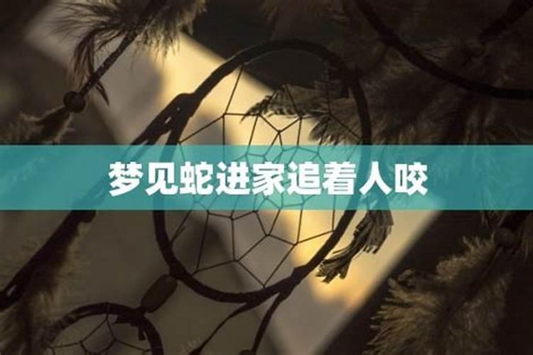 梦见蛇进家门想咬人