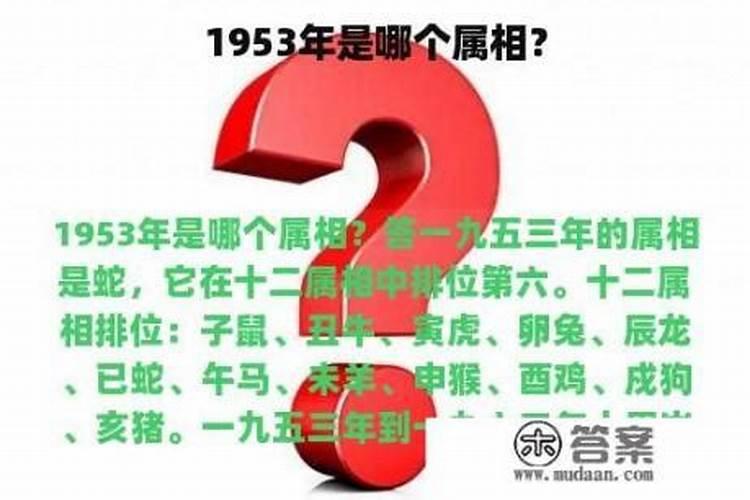 1953年的生肖是属什么的