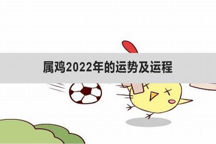 属鸡2022运势