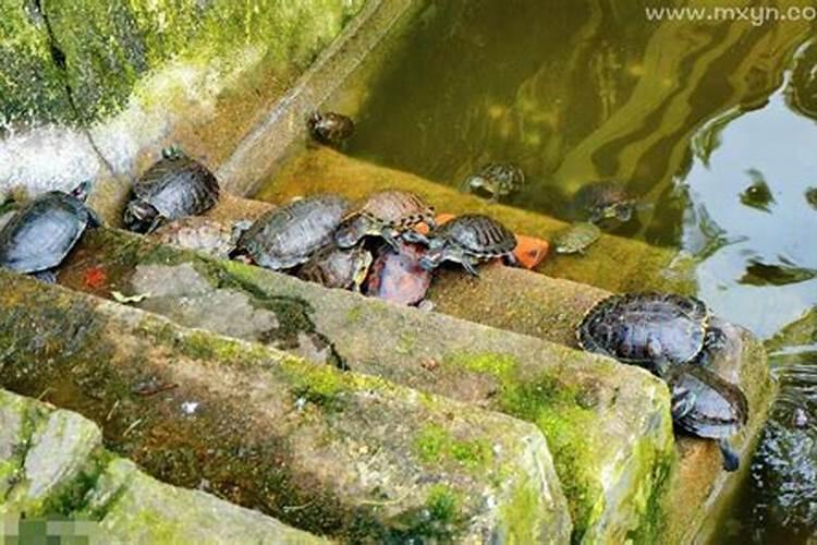 卧室风水如何提升财运