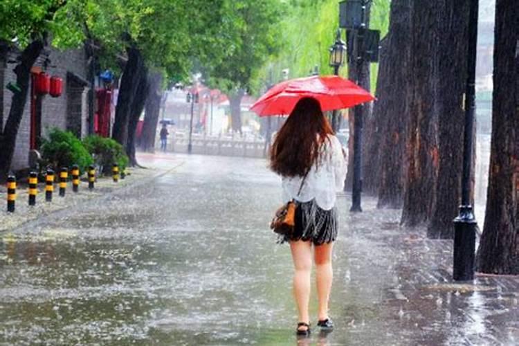 单身男梦见下雨是什么征兆