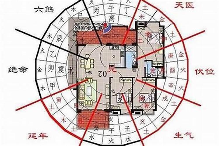 怎么学算命看相